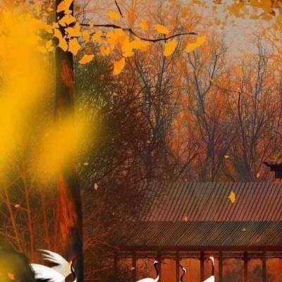 北京蓝天映京城，云海上线！北京奥林匹克公园美丽如画